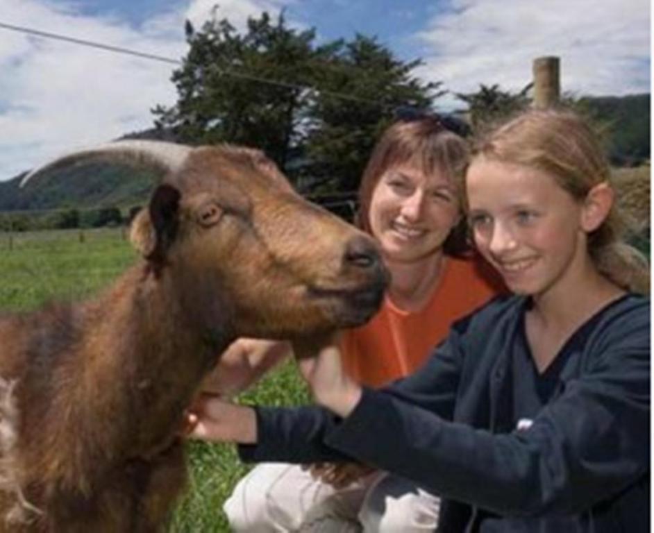Smiths Farm Holiday Park Linkwater Eksteriør bilde